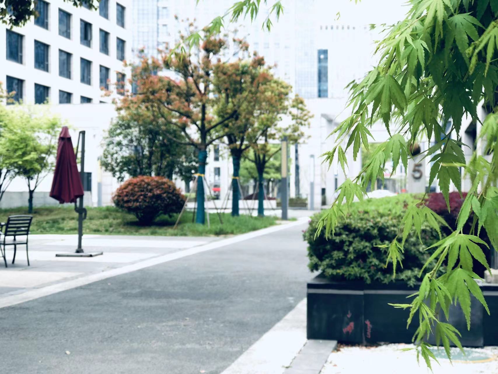 迪塔維搬遷——致初心，新起航！