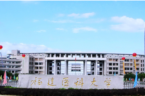 福建醫(yī)科大學：數(shù)據(jù)治理嶄新啟航，匠心繪制數(shù)據(jù)生態(tài)藍圖！